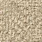 Anderson Tuftex Luna Carpet in Antique, , large