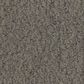 Anderson Tuftex Luxe Feel II Carpet in Olive, , large