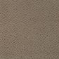 Mohawk Exquisite Charm Carpet in Cork, , large