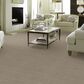 Anderson Tuftex Matisse Carpet in Inner Balance, , large