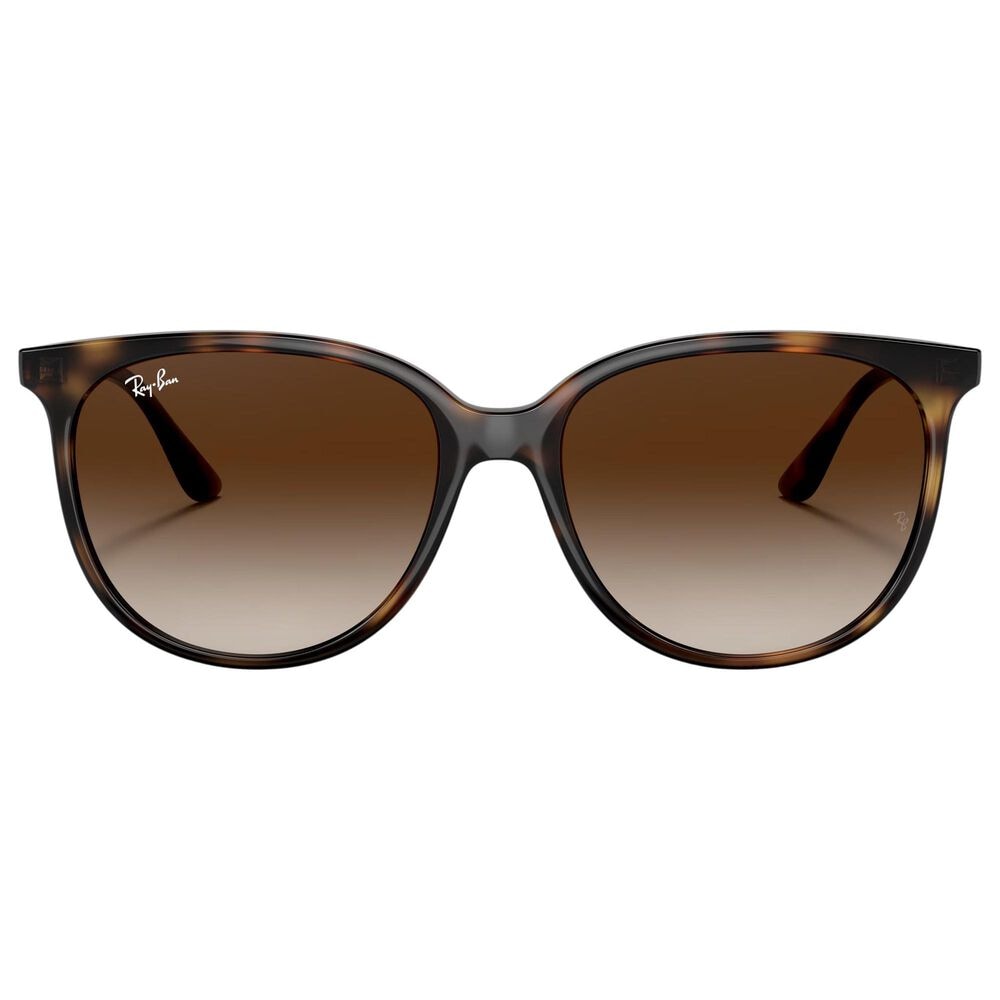 Rayban Glasses Sunglasses with Gradient Brown Lenses in Polished Havana, , large