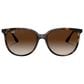 Rayban Glasses Sunglasses with Gradient Brown Lenses in Polished Havana, , large