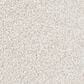 Mohawk Memorable View Carpet in Stella, , large