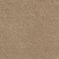 Karastan Soothing Obsession Carpet in Bare Essence, , large