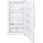 GE Appliances 17.3 Cu. Ft. Frost-Free Upright Freezer Energy Star, , large