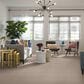 Anderson Tuftex Barracan Classic I Carpet in Blush, , large