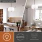 Vaxcel Burnaby 4-Light Pendant in Black, , large