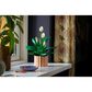 LEGO Botanicals Peace Lily Building Set, , large