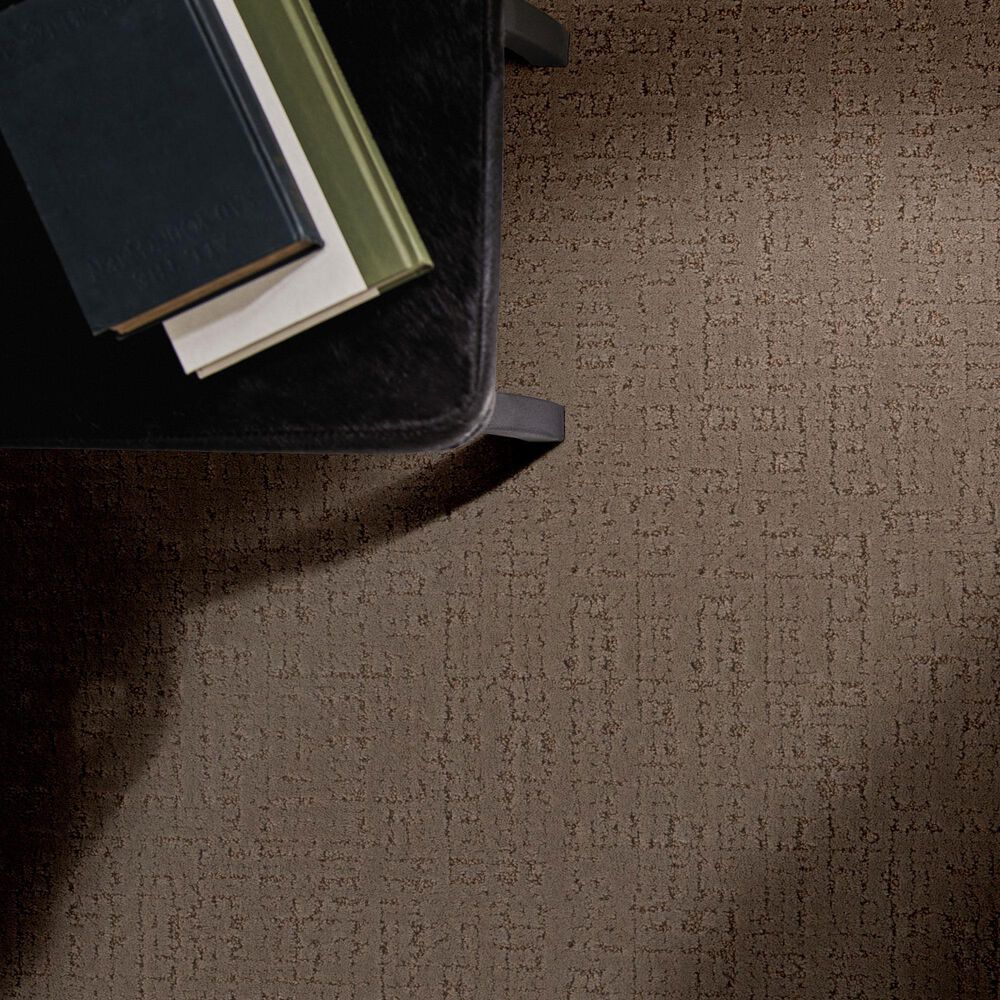 Anderson Tuftex Adair Carpet in Meet And Greet, , large