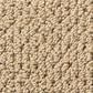 Anderson Tuftex Crafted Carpet in Golden, , large