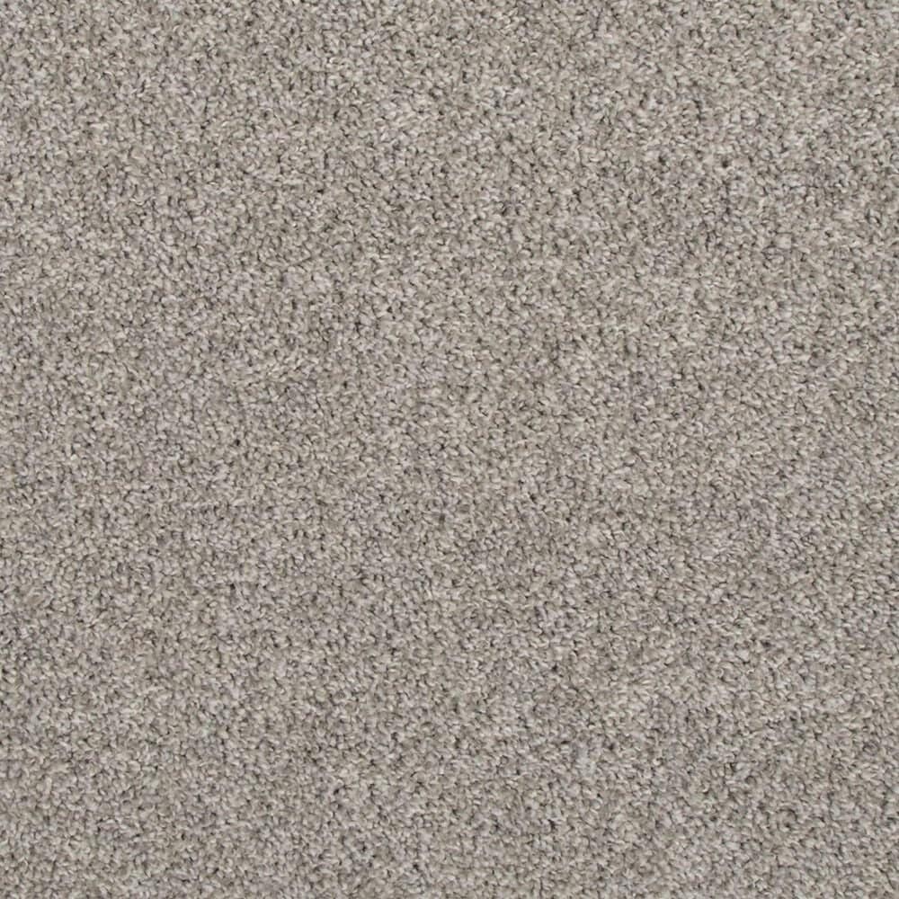 Mohawk Revive Carpet in Tarpley, , large