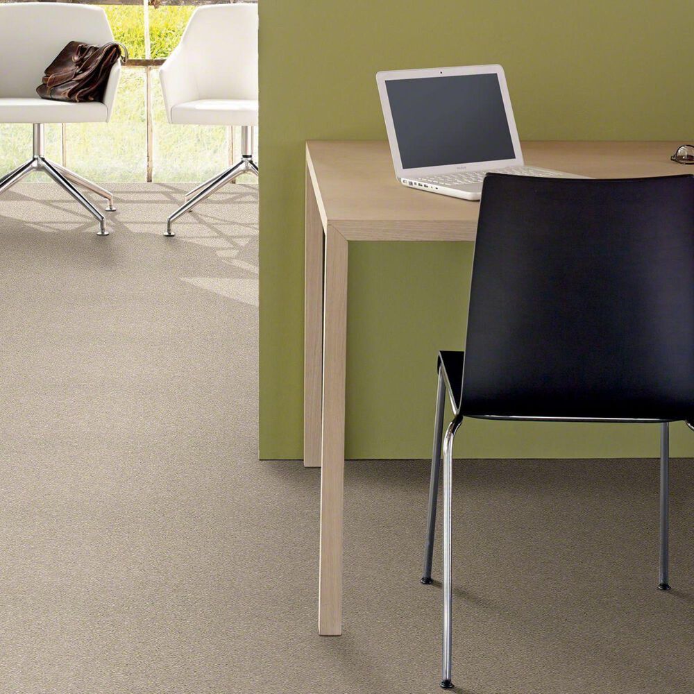 Philadelphia Basic Rules Carpet in Arctic Fox, , large