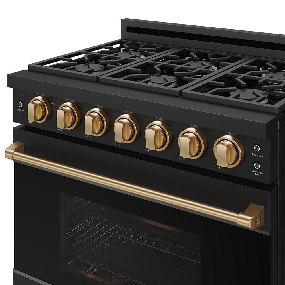 Thor Kitchen Gordon Ramsay 6 Cu. Ft. Professional Gas Range with Bronze Handle Kit in Black, , large