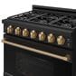 Thor Kitchen Gordon Ramsay 6 Cu. Ft. Professional Gas Range with Bronze Handle Kit in Black, , large