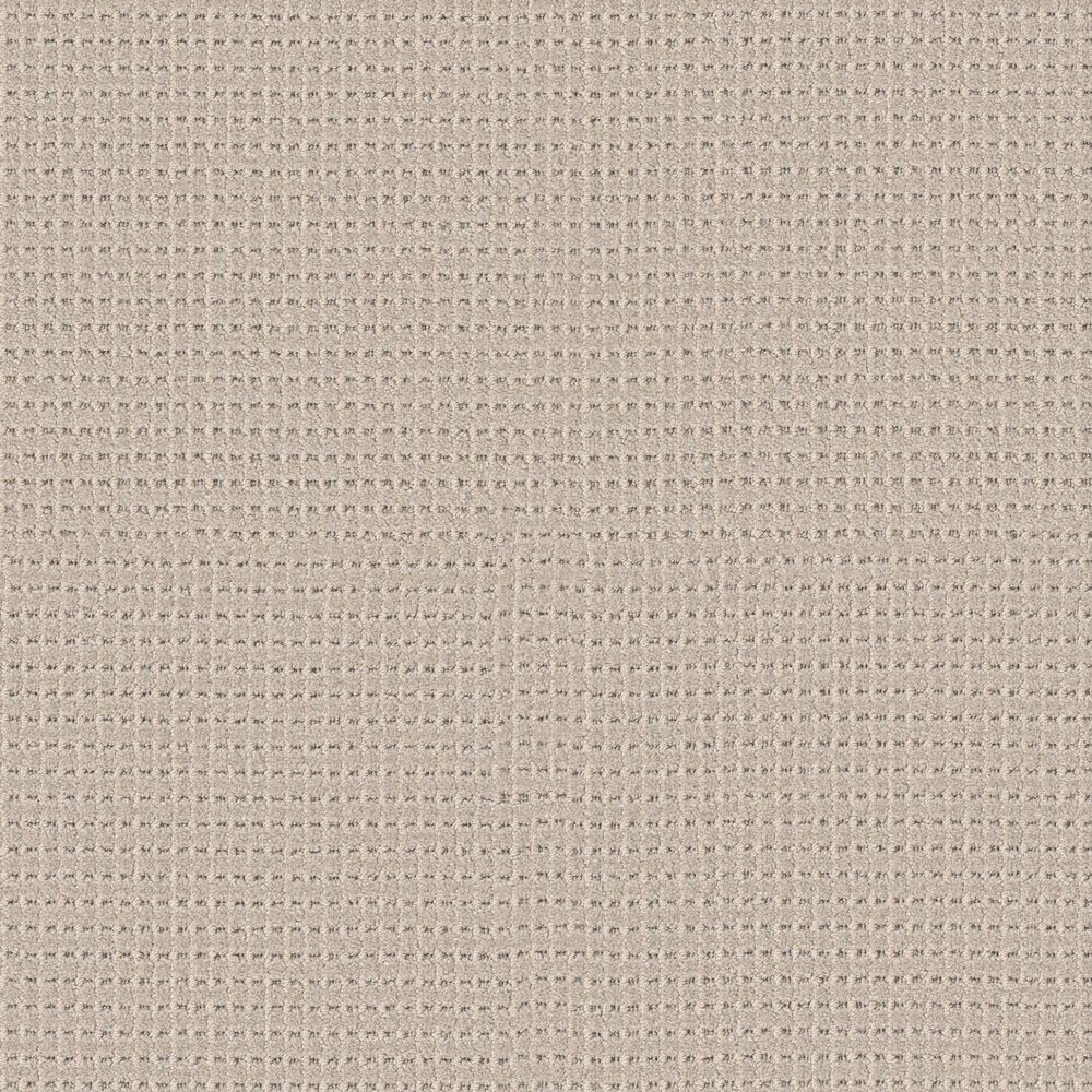 Anderson Tuftex Rhode Carpet in Toasted Almond, , large