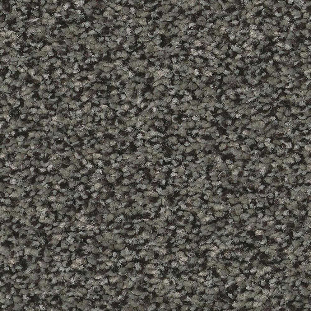 Anderson Tuftex Somerset Carpet in Rock Bottom, , large