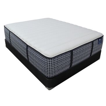 Sleeptronic Hathaway Plush Twin XL Mattress with High Profile Box Spring, , large