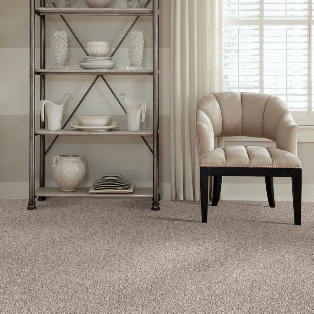 Shaw Foundations Take The Floor Accent I Carpet in Riverbed, , large