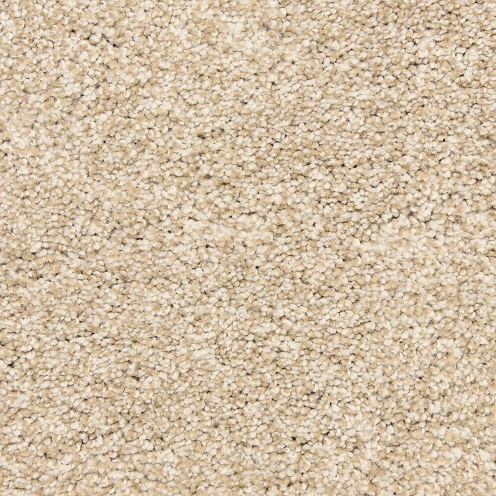 Dixie Home Natural Beauty Carpet in Tan, , large