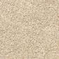 Dixie Home Natural Beauty Carpet in Tan, , large