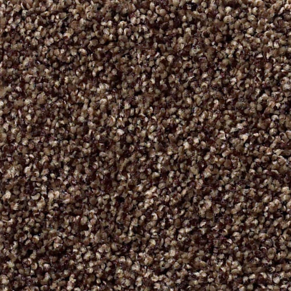 Shaw Find Your Comfort TT I Carpet in Chocolate Treat, , large
