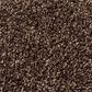 Shaw Find Your Comfort TT I Carpet in Chocolate Treat, , large