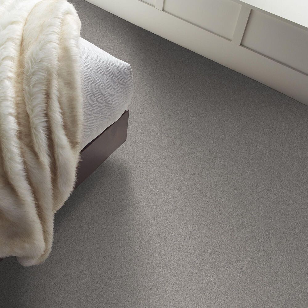 Shaw Live on Comfort Carpet in Spotlight, , large