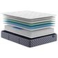 Serta Perfect Sleeper Select Aksarben Plush California King Mattress, , large