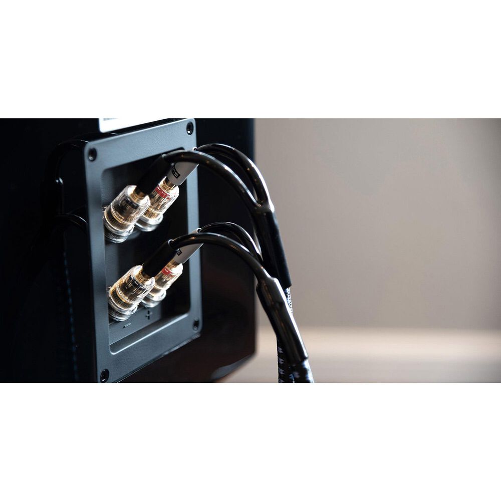 SVS 10 Ft Ultra Speaker Cable in Black, , large