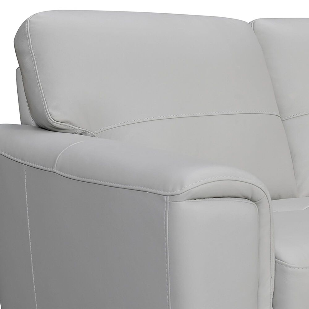 Blue River Bergen Leather Stationary Sofa in Dove Gray, , large