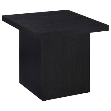 Pacific Landing Max End Table in Black, , large