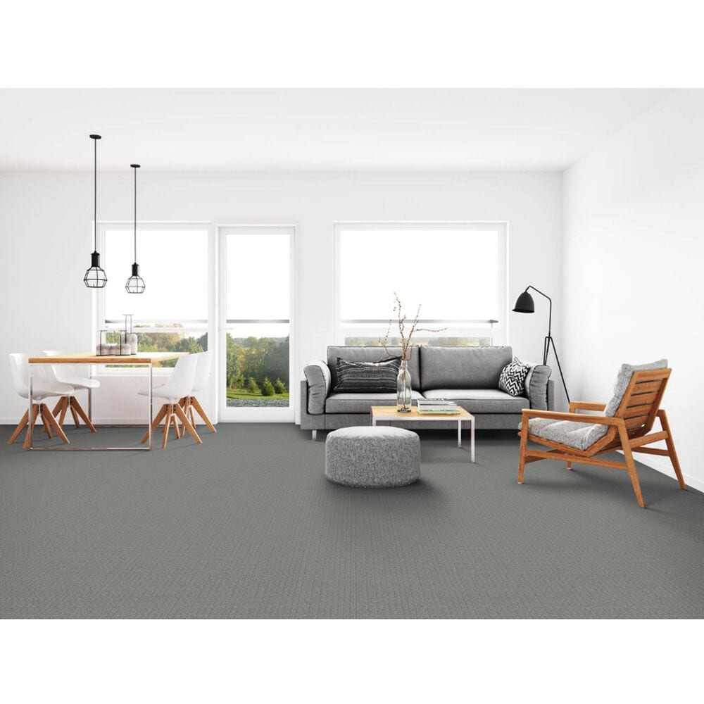 Dixie Home Affinity Carpet in Pebble, , large