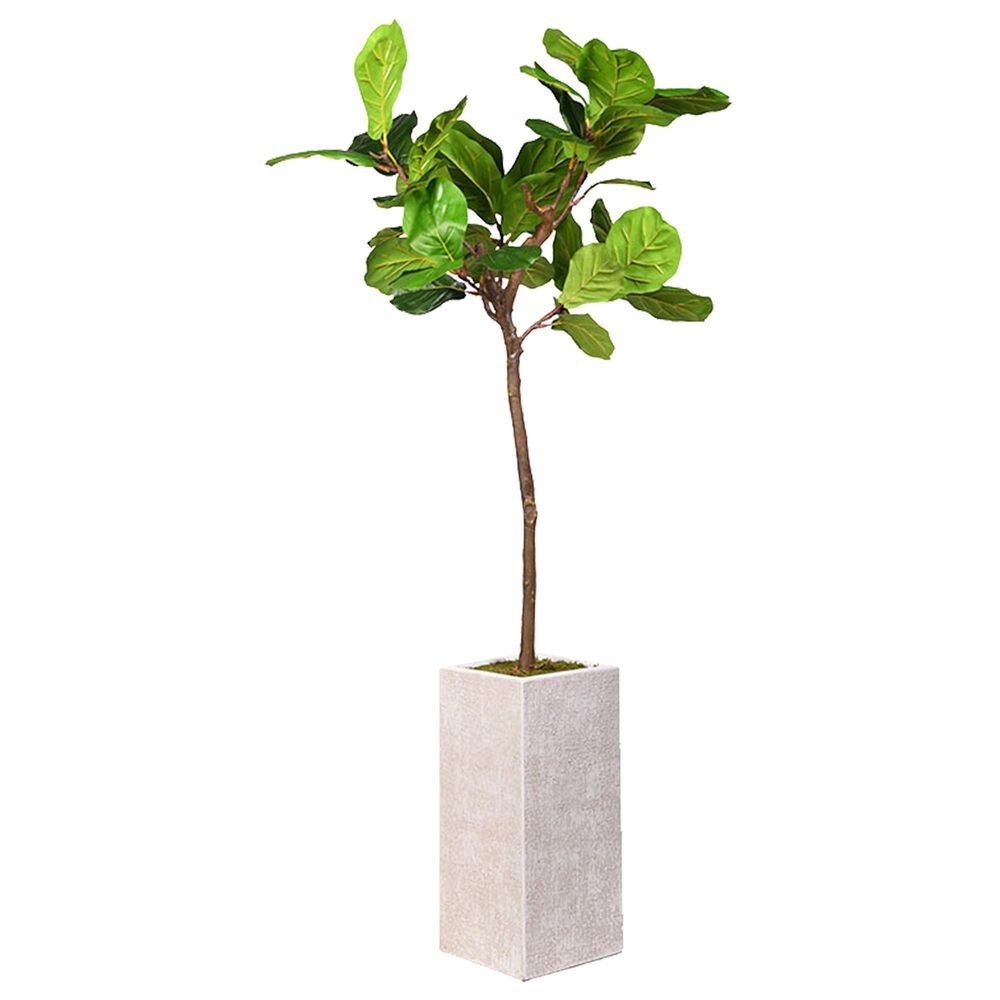 DandW Silks 6" Fiddle Leaf Fig Tree Tall Square Planter in White, , large