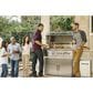 Coyote Outdoor 39" Double Access Doors in Stainless Steel, , large