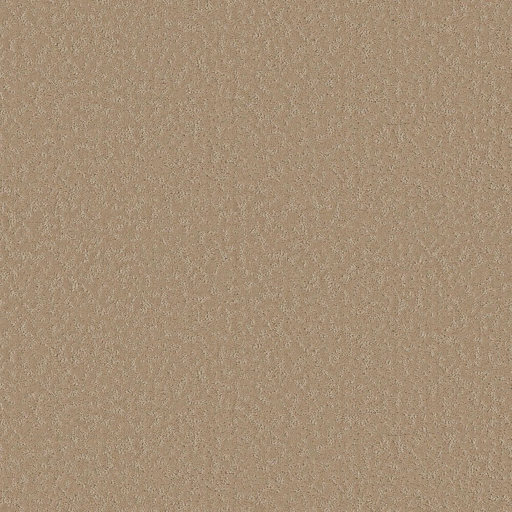 Shaw Clever Choice Carpet in Worn Path, , large