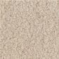 Anderson Tuftex Luxe Feel I Carpet in Sunlit, , large