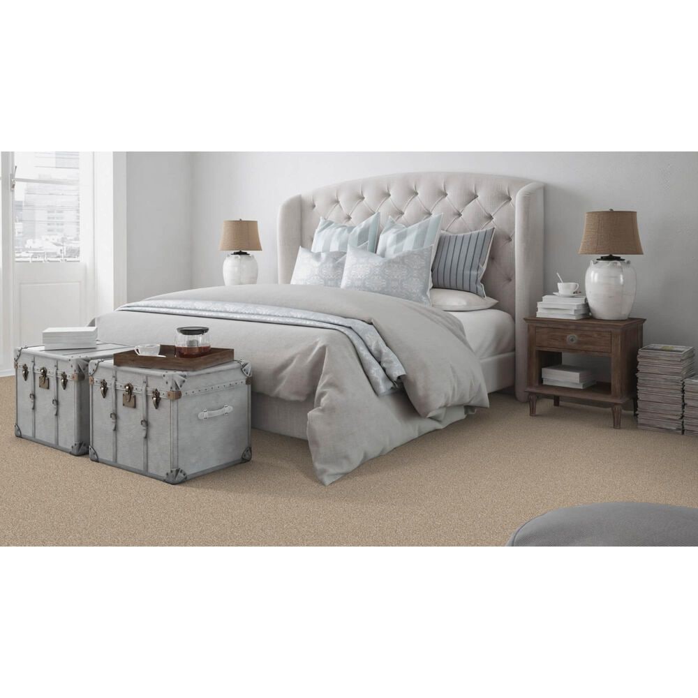 Dixie Home Bella Carpet in Shar-Pei, , large
