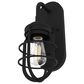 Hunter Starklake 1-Light Wall Sconce in Natural Iron, , large