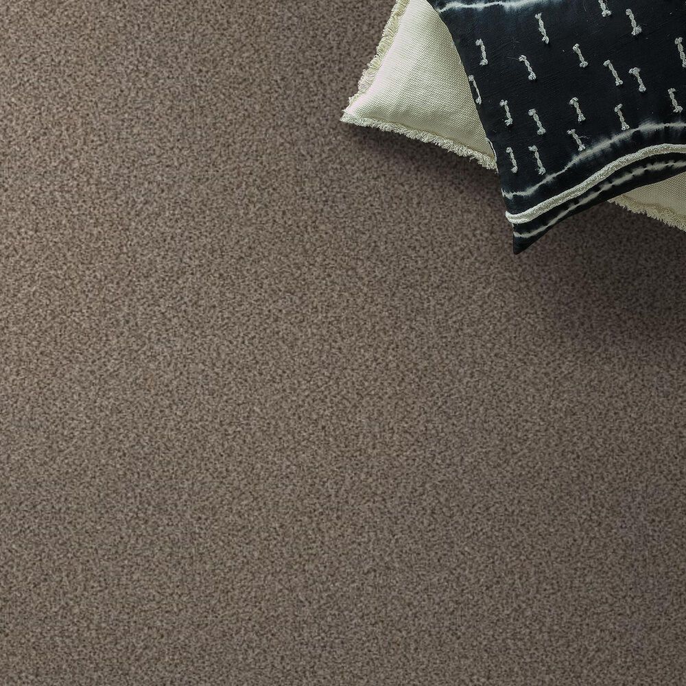 Shaw Truspirit Ii Carpet in Truffle, , large