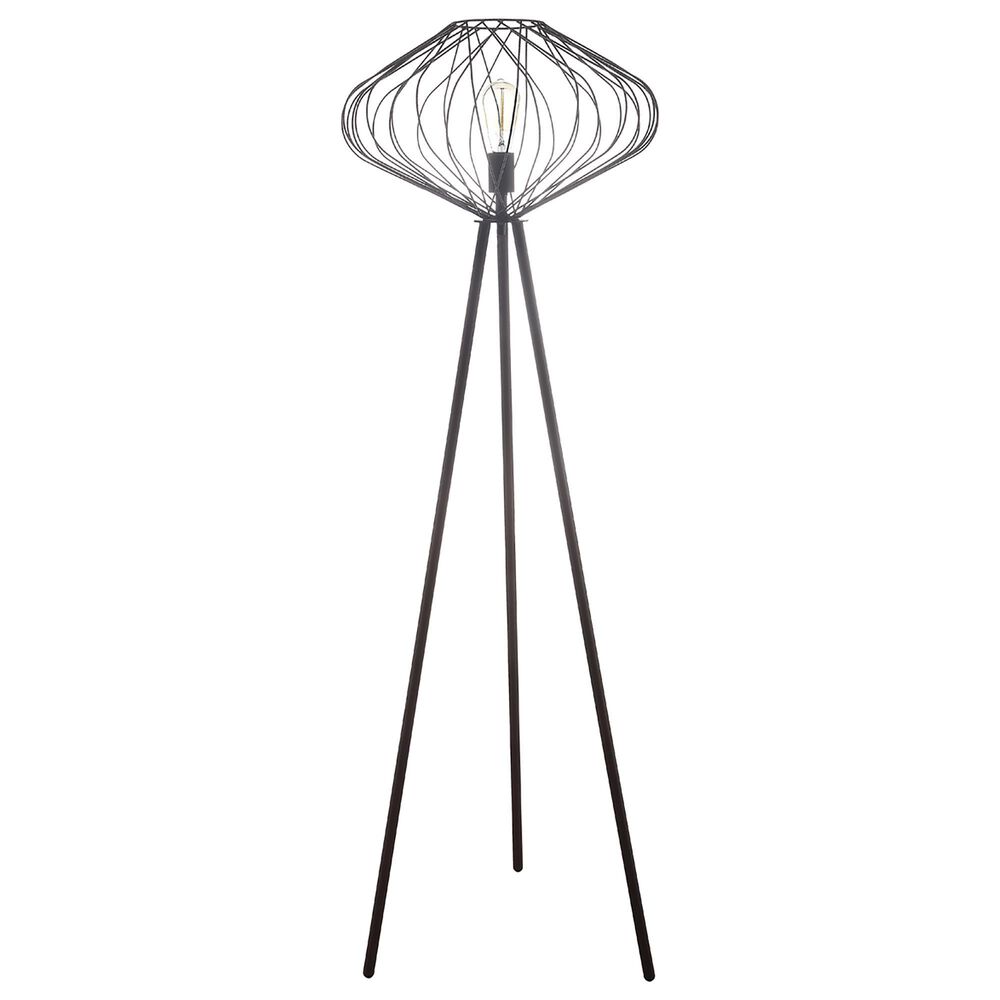 Anthony California 60" Floor Lamp in Rust, , large