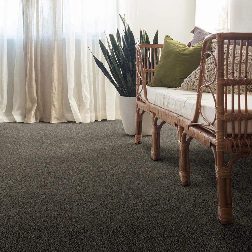 Anderson Tuftex The Bark Side II Carpet in Buckaroo, , large