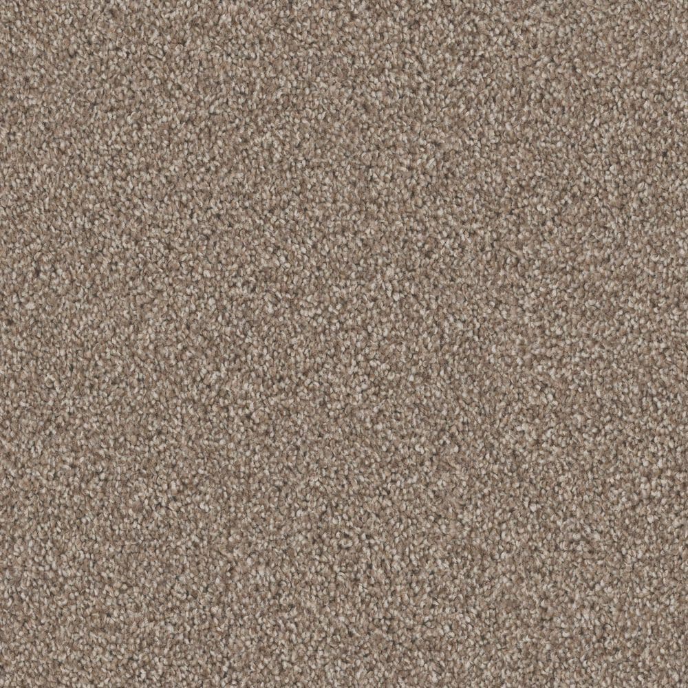 Dixie Home Devotion Carpet in Mocha, , large
