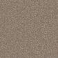 Dixie Home Devotion Carpet in Mocha, , large
