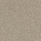 Philadelphia Making The Rules III Carpet in Sand Castle, , large