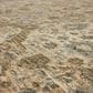 Karastan Divina Ethereal 5" x 7"10" Vanilla Area Rug, , large