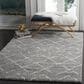 Safavieh Arizona Shag ASG743D 4" x 6" Grey and Ivory Area Rug, , large