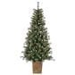 The Gerson Company 6" Potted Pre-Lit Hard Needle Glazier Pine with White Lights in Green, , large