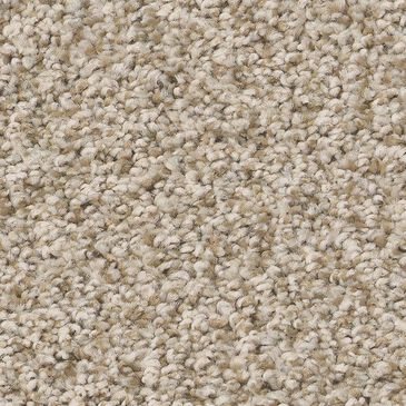 Shaw Tweed Comfort II Carpet in Vacay, , large