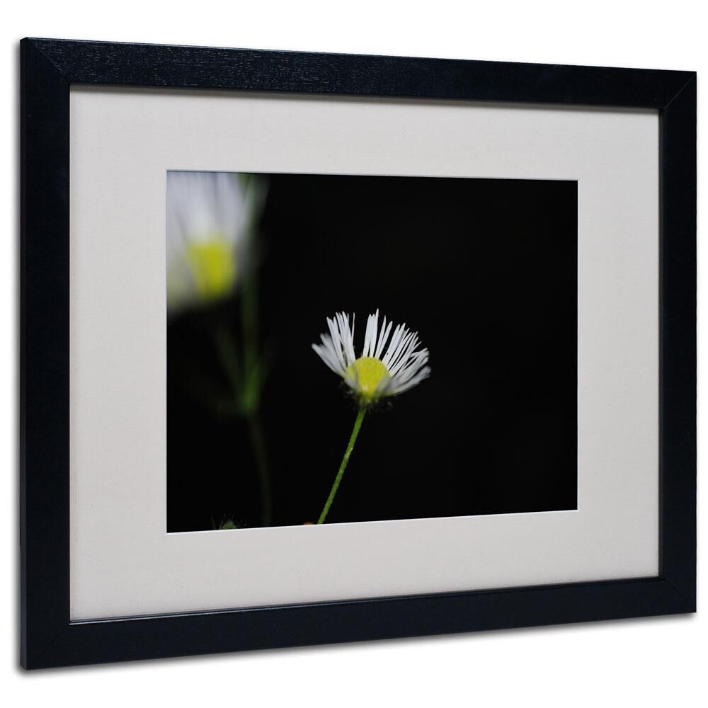 Timberlake Monica Fleet "Light in the Dark" Matted Framed Art, , large