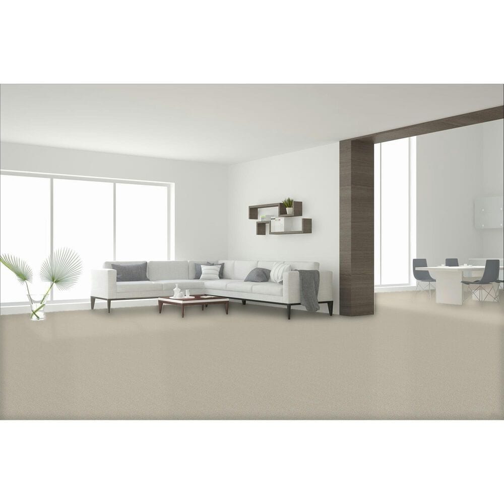 Dream Weaver Cape Cod Carpet in Pearlesque, , large